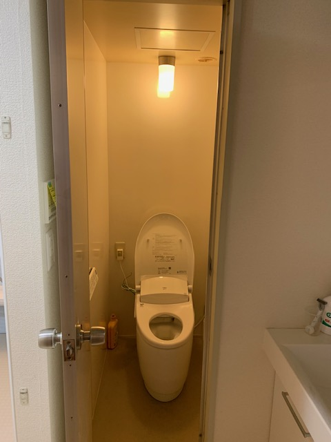 �g�C������