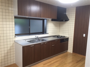 �V�X�e���L�b�`��