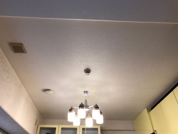 �V��N���X