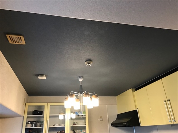 �V��N���X