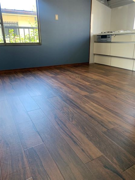 �N�b�V�����t���A