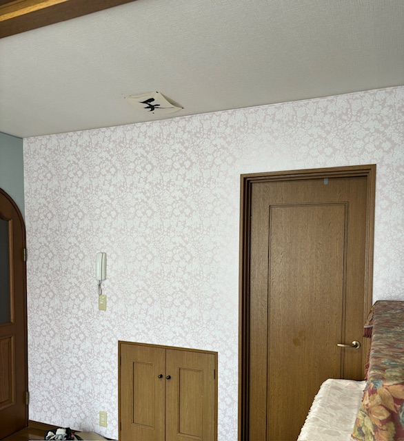 �A�N�Z���g�N���X