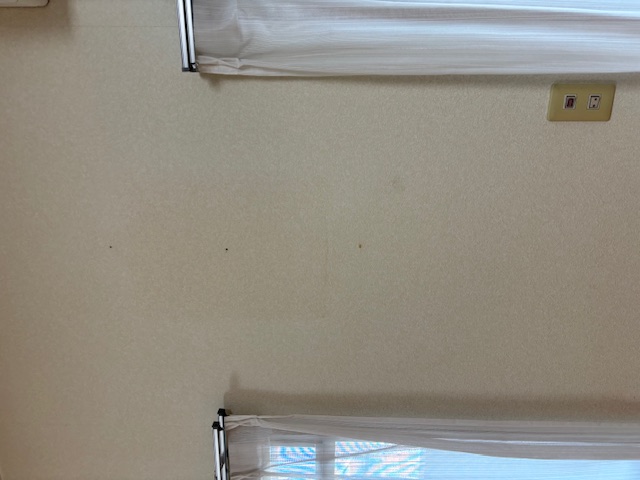 P�}���V�����������t�H�[���H��